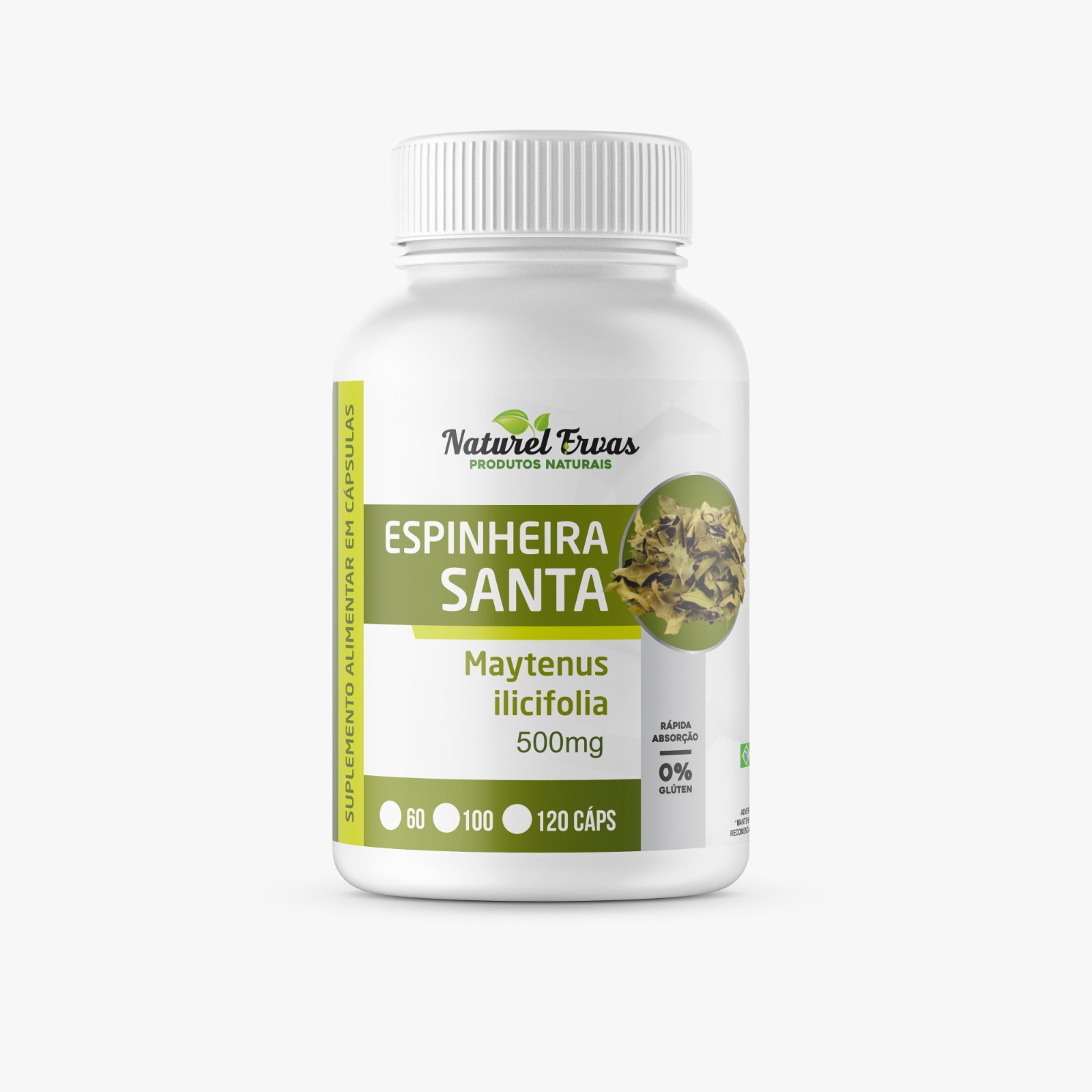 Espinheira Santa