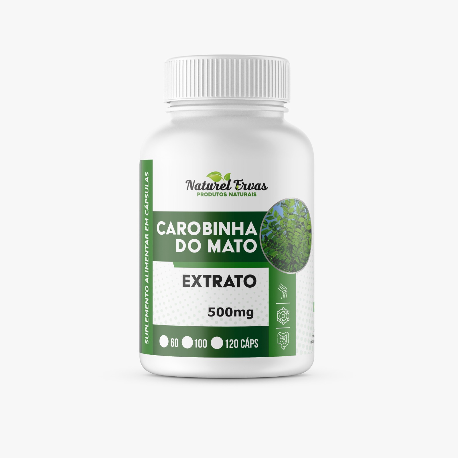 Carobinha do Mato