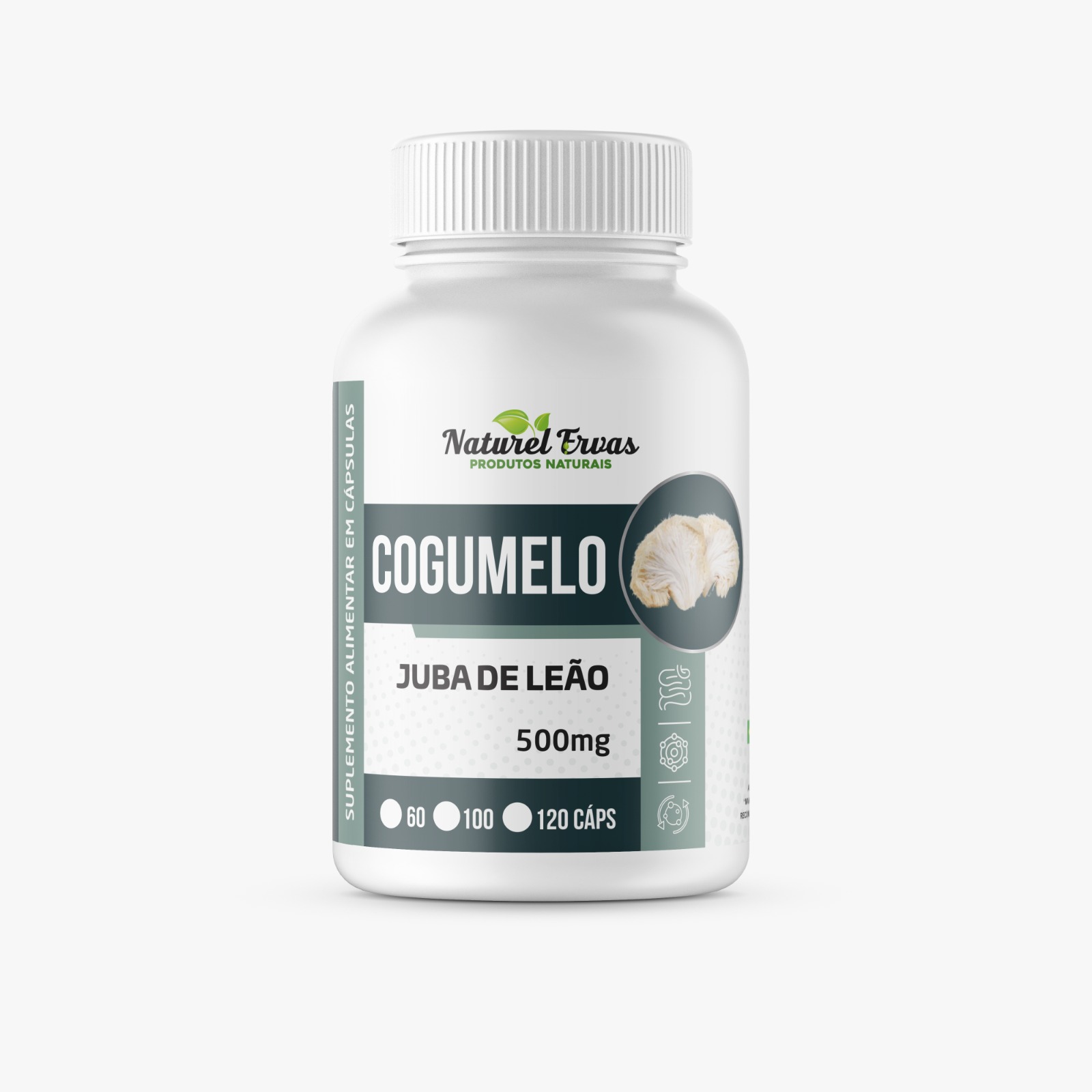 Juba de Leão