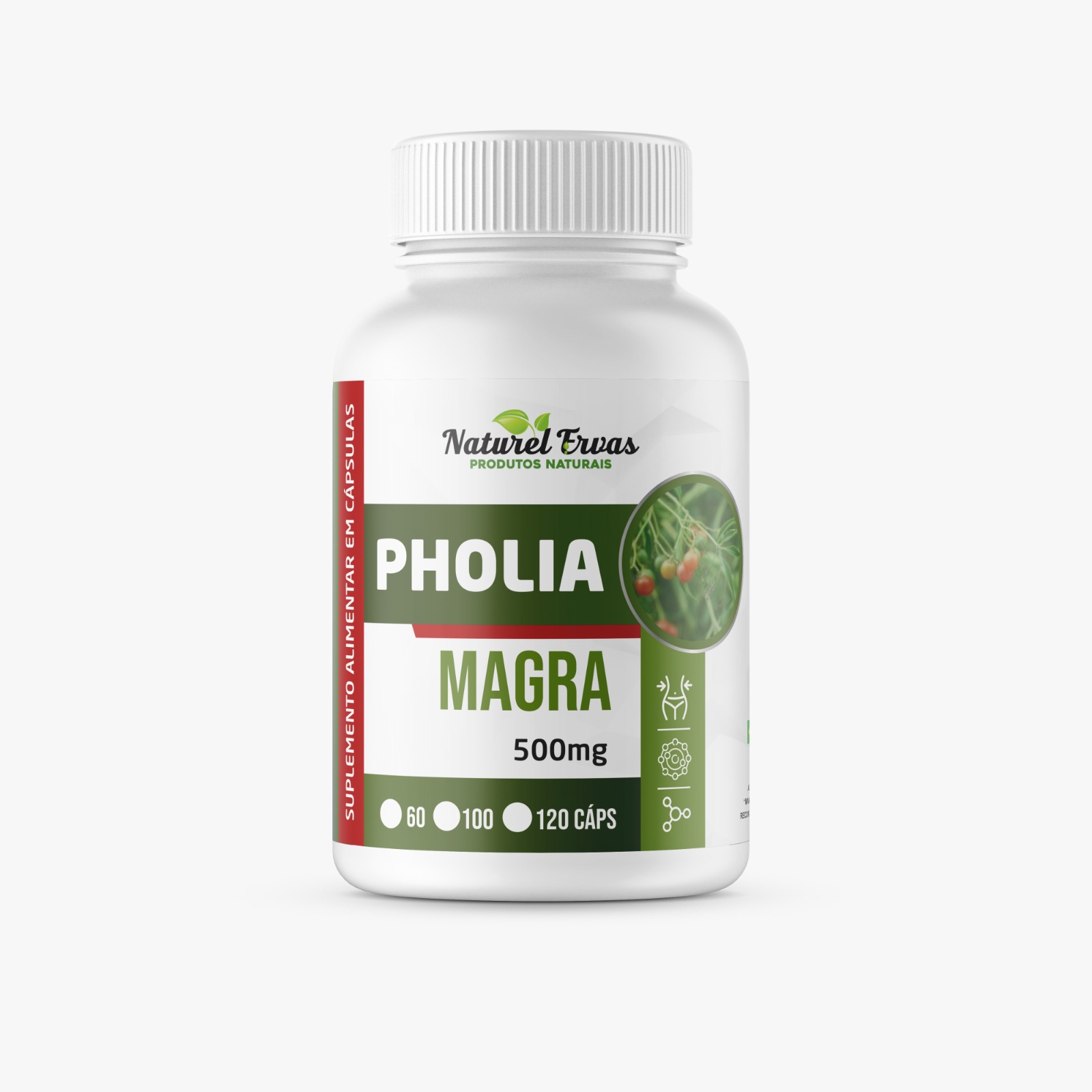 Pholia Magra