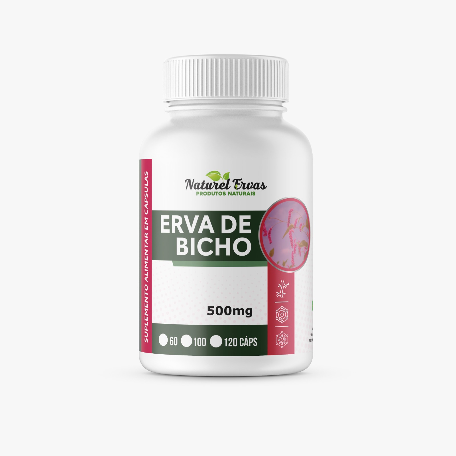 Erva de Bicho