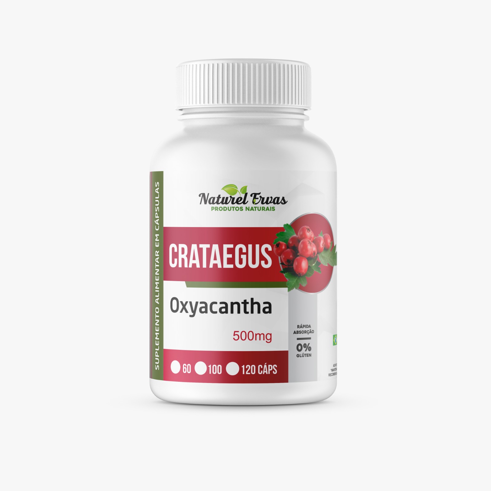 Crataegus Oxyacantha