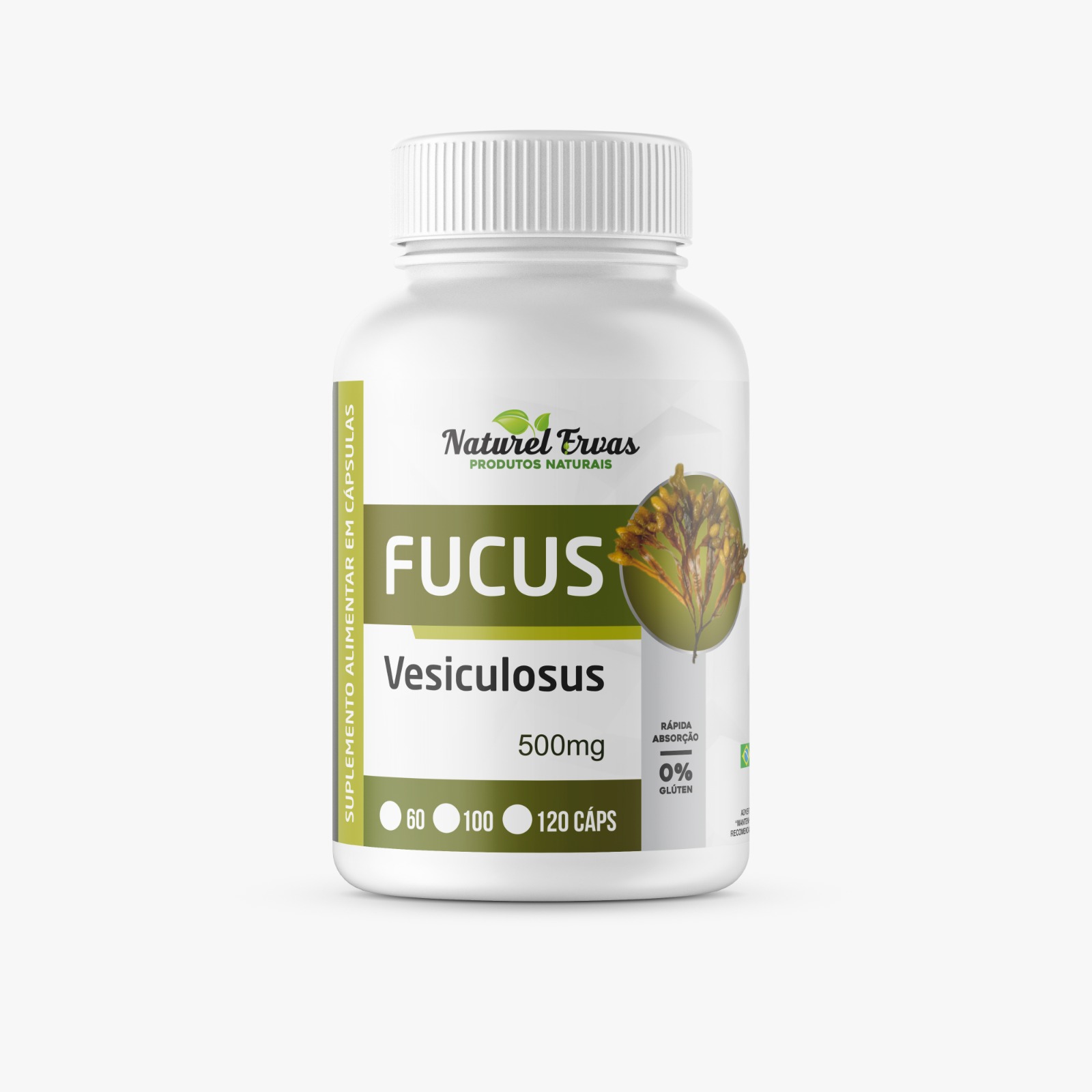 Fucus Vesiculosus