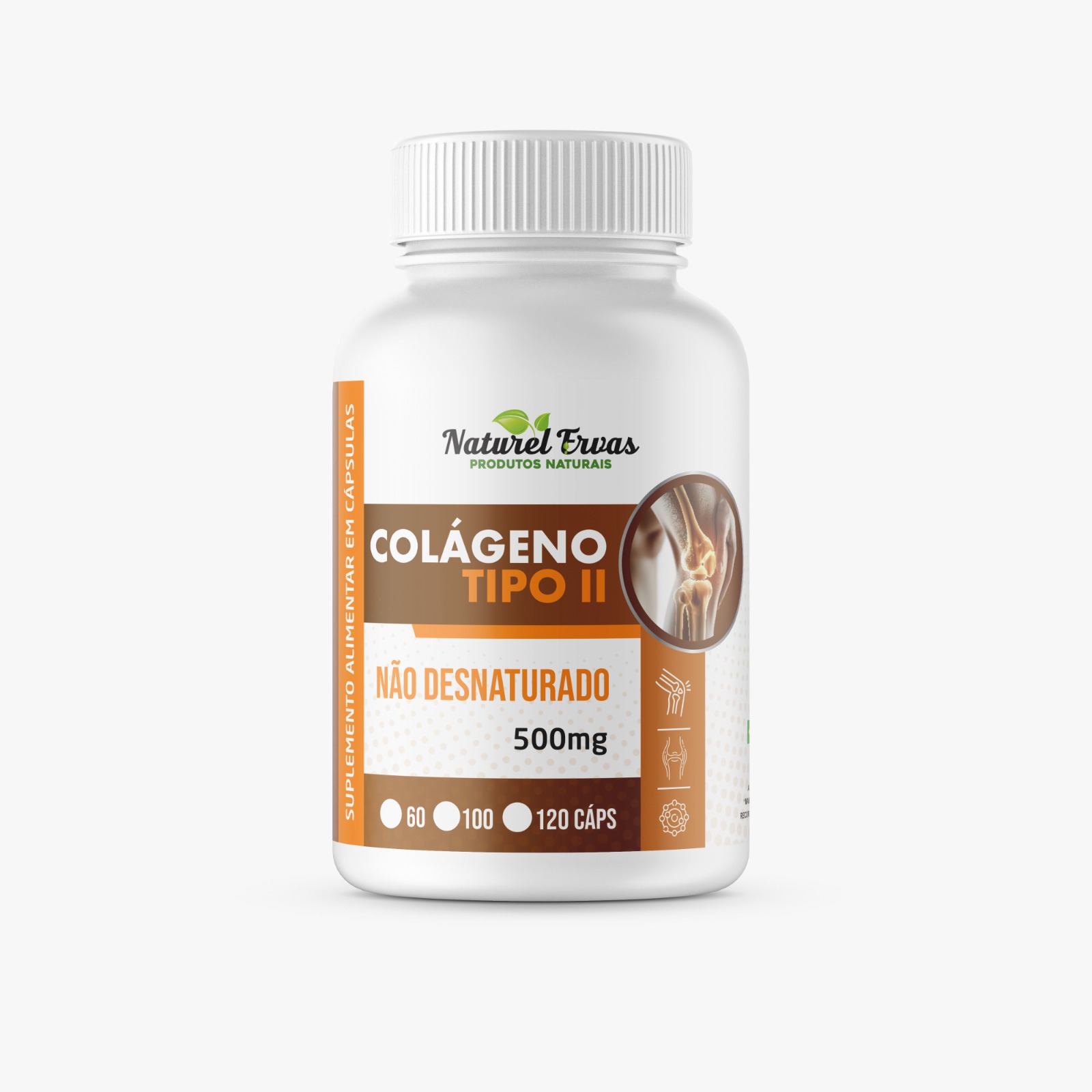 Colágeno Tipo II