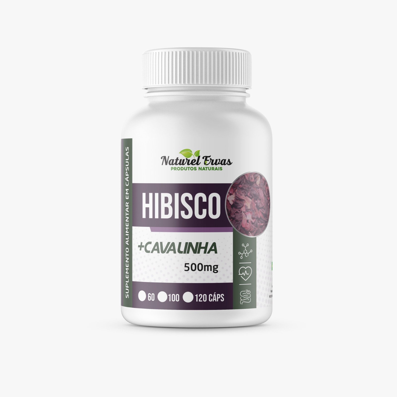 Hibisco + Cavalinha