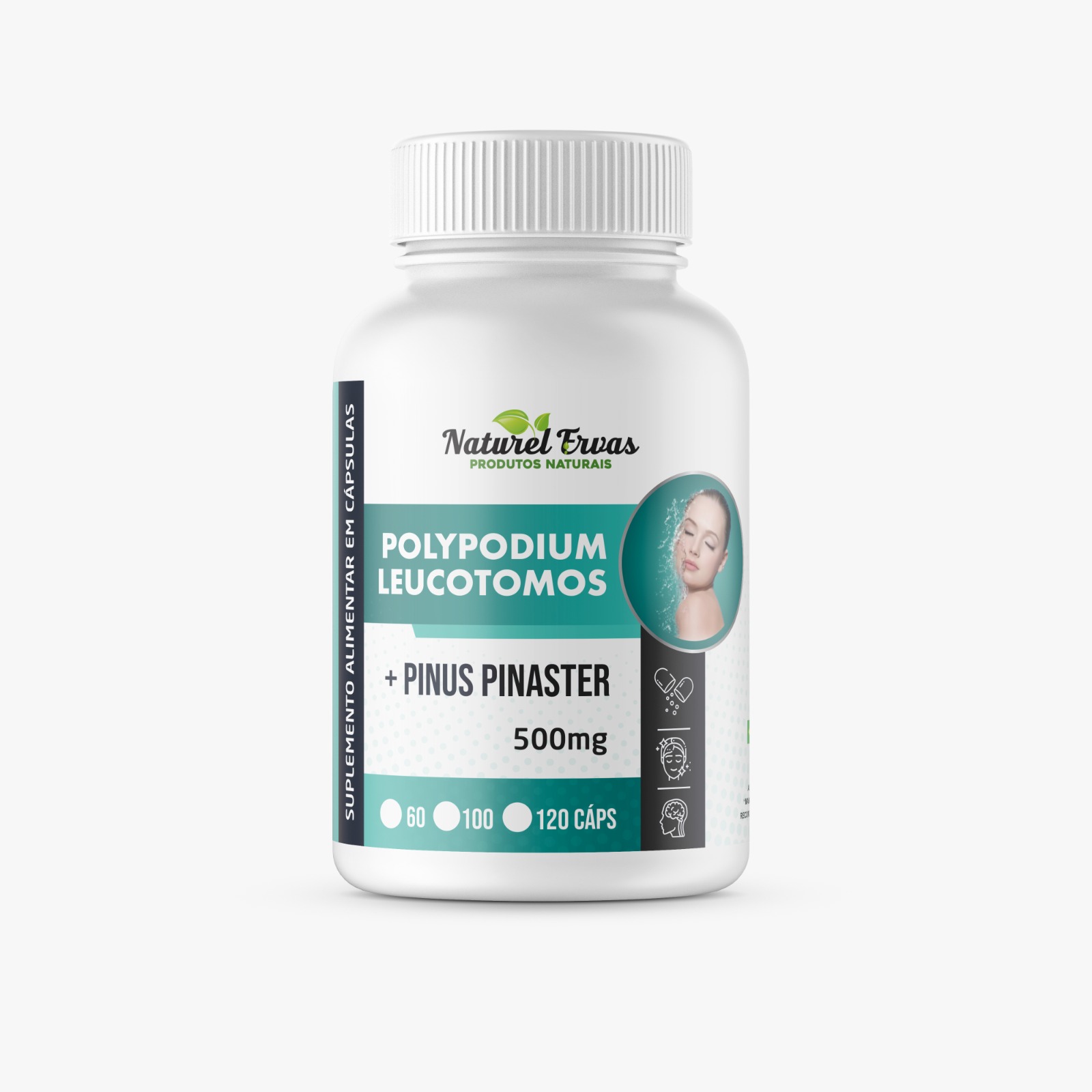 Polypodium