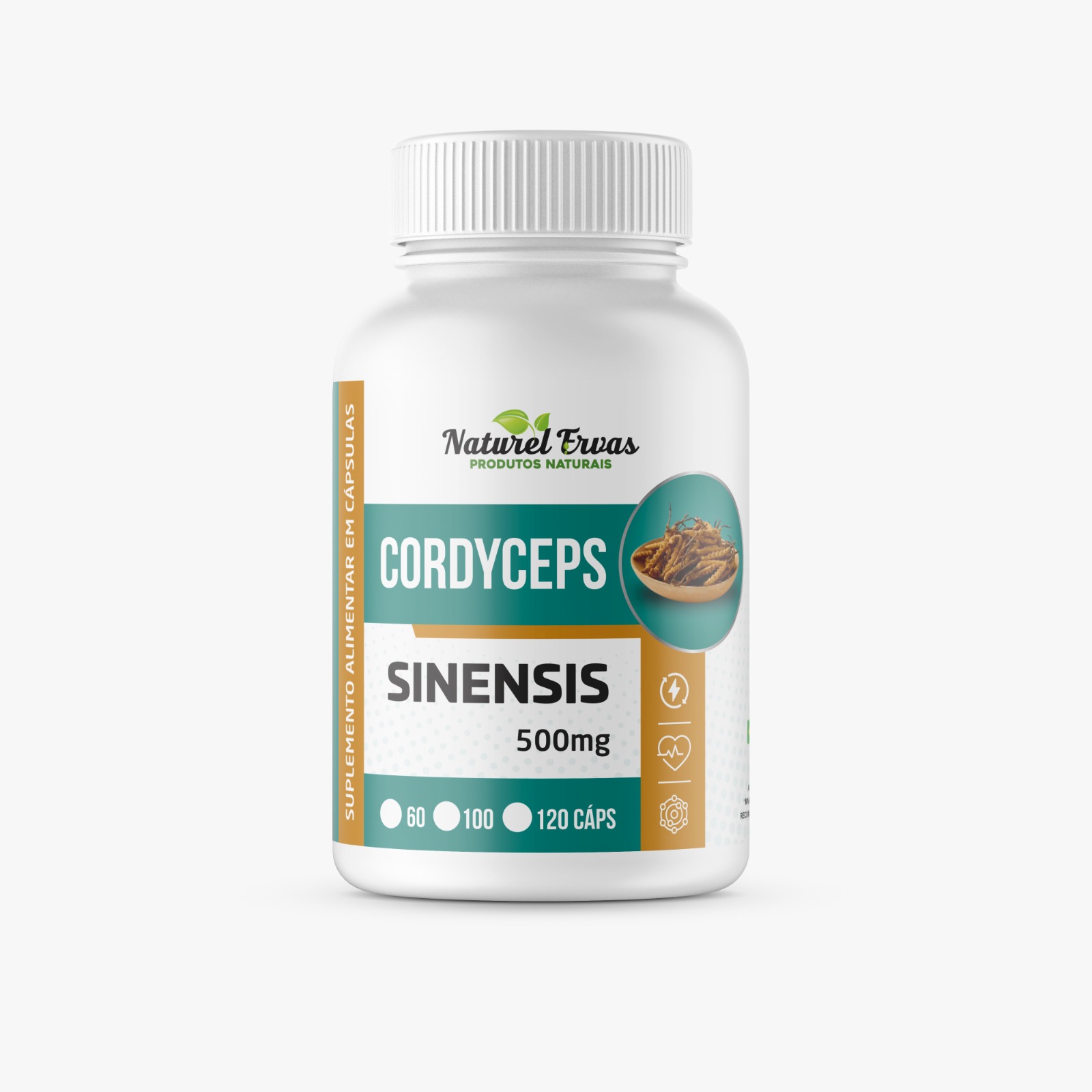 Cordyceps Sinensis