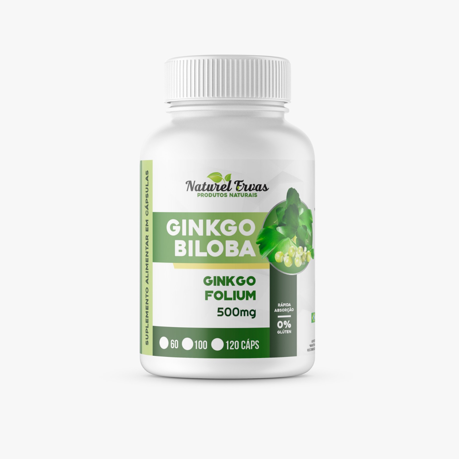 Ginkgo Biloba