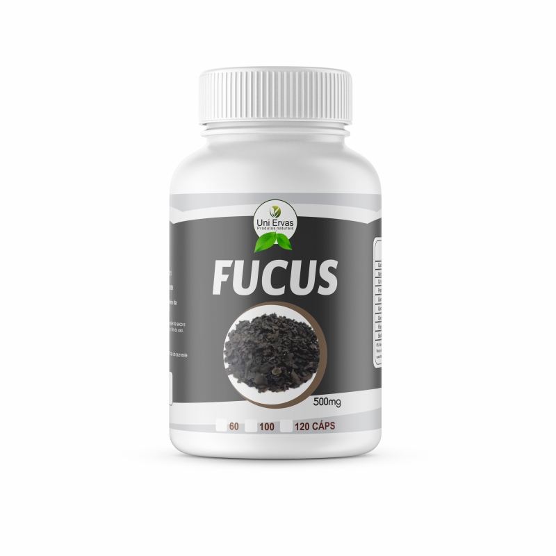 Fucus