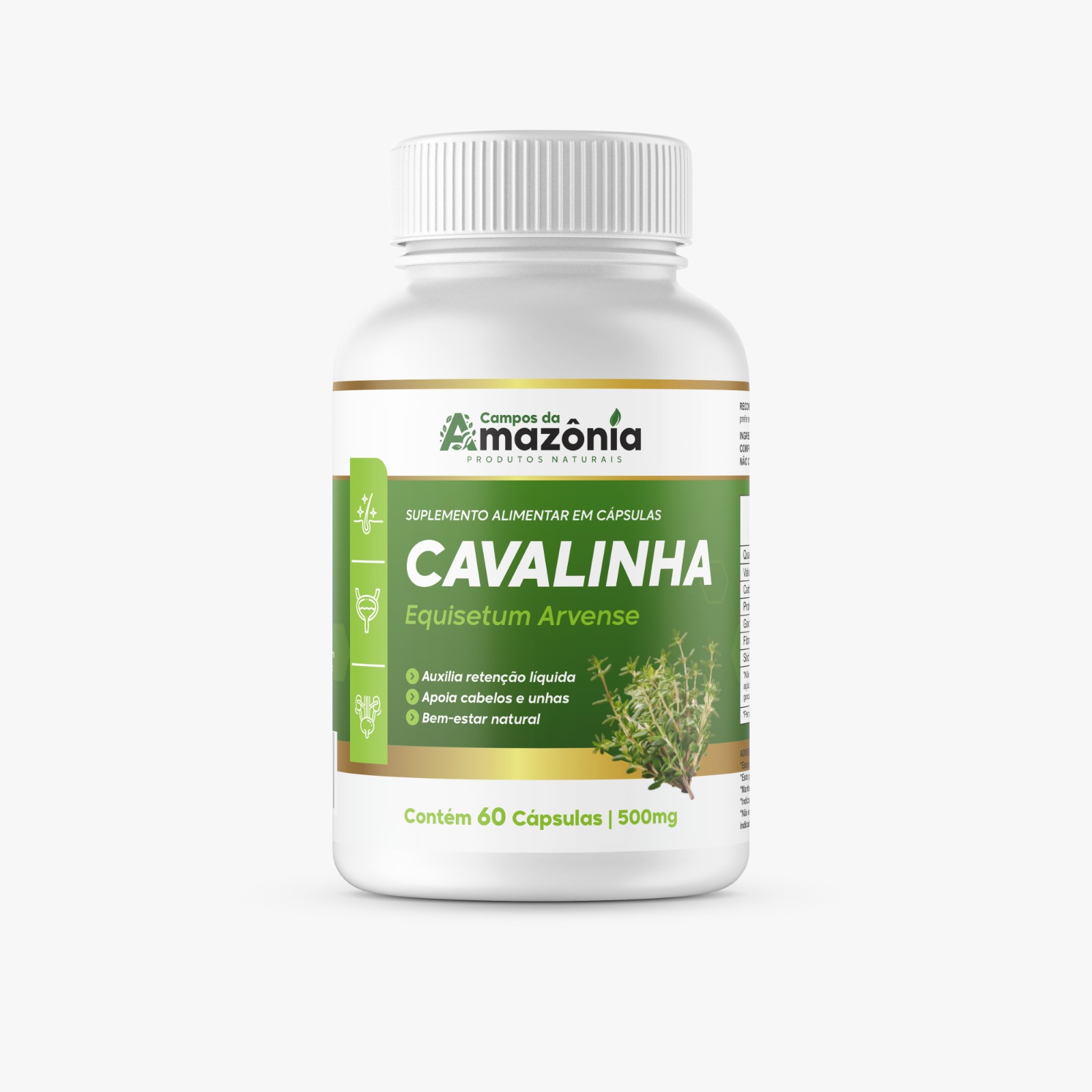 Cavalinha