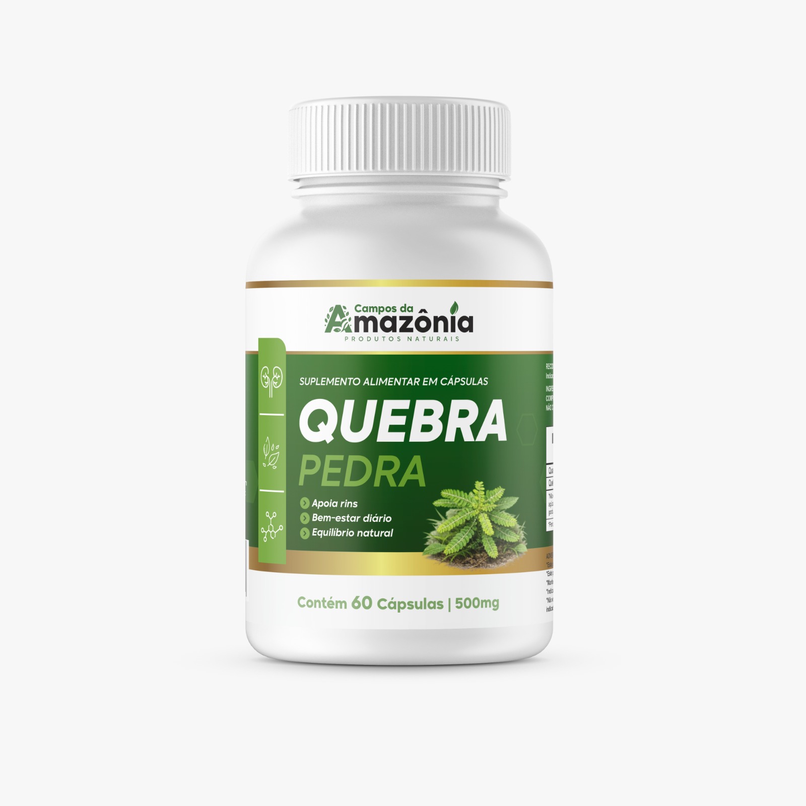 Quebra Pedra